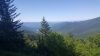 On Top of Mt. Mitchell